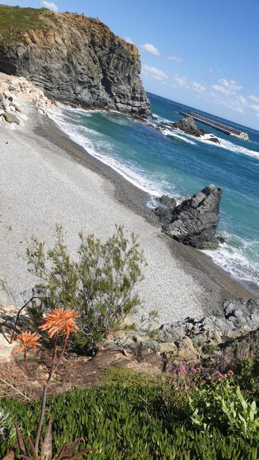דירות Port De Llanca , La Miranda מראה חיצוני תמונה